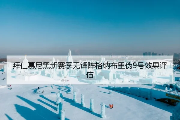 拜仁慕尼黑新赛季无锋阵格纳布里伪9号效果评估